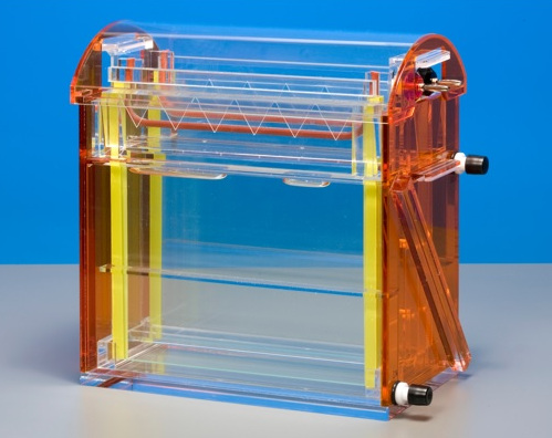 クールホレスター 二次元電気泳動ベーシック・プラスシステム