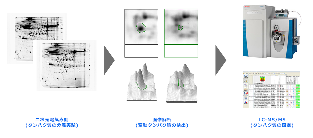 受託解析の流れ